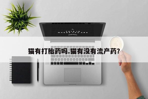米非米索怎么买猫有打胎药吗.猫有没有流产药？