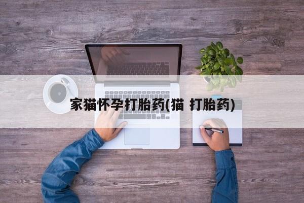 米非米索怎么买家猫怀孕打胎药(猫 打胎药)